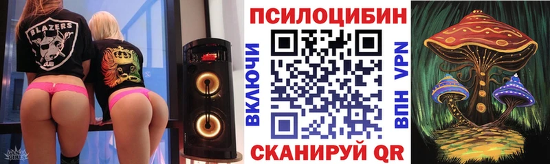 купить наркоту  Ставрополь  Галлюциногенные грибы MAGIC MUSHROOMS 